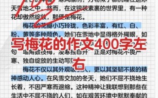 梅花怎么写作文_梅花作文写作技巧