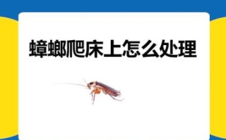 孕妇梦见蟑螂爬到身上_周公解梦准吗