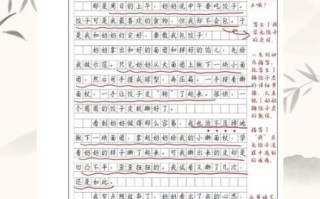 我学会了什么_如何写好作文