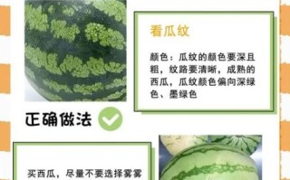西瓜怎么挑选才甜_西瓜怎么保存时间长
