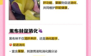 孕妇能吃黑布林吗_黑布林对胎儿有影响吗