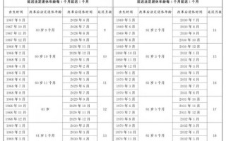 2024年养老金上调多少_延迟退休政策最新消息