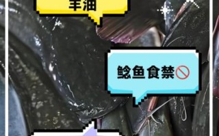 鲶鱼孕妇可以吃吗_孕妇吃鲶鱼注意事项