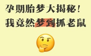 孕妇梦见好多小老鼠_胎梦预示什么
