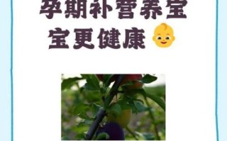 孕妇可以吃李子吗_李子对胎儿有影响吗
