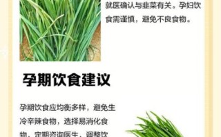 孕妇可以吃韭菜吗_韭菜对胎儿有影响吗
