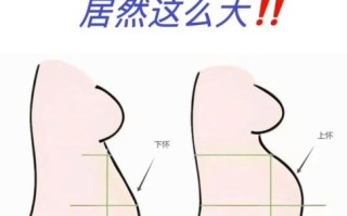 孕妇肚子大小正常吗_孕期肚子变化图解