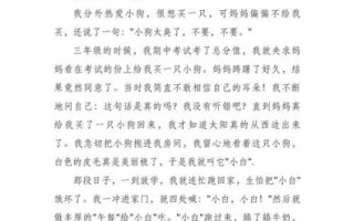 真让我着迷作文怎么写_真让我着迷作文素材