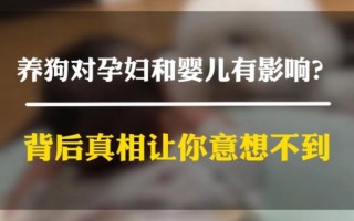 孕妇可以养狗吗_孕期养狗对胎儿的影响