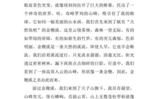 如何描写风景_800字作文怎么写