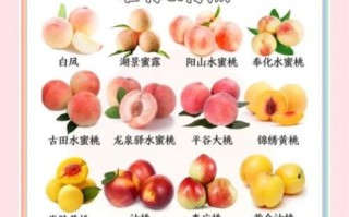 孕妇可以吃桃子吗_孕妇吃桃子注意事项