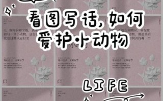 如何培养小学生热爱动物_为什么孩子要爱护小动物