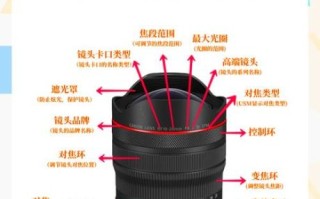 解剖镜头是什么_解剖镜头怎么选