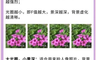 光圈环镜头怎么用_手动光圈环镜头优缺点