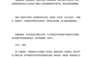 梅花象征什么品格_托物言志作文怎么写