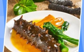 孕妇能吃海参吗_海参对胎儿的好处