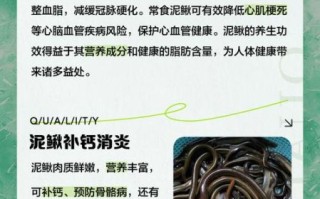 孕妇可以吃泥鳅吗_泥鳅对孕妇的好处与禁忌