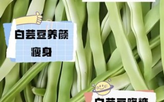 芸豆孕妇可以吃吗_芸豆孕期食用禁忌