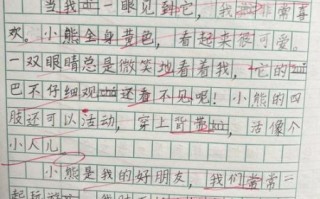 小学生二年级作文怎么写_如何提高二年级作文水平