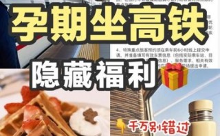 孕妇能坐高铁吗_孕妇坐高铁注意事项