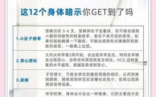 变身孕妇_怀孕初期症状有哪些