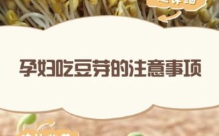 孕妇可以吃豆芽吗_孕妇吃豆芽注意事项