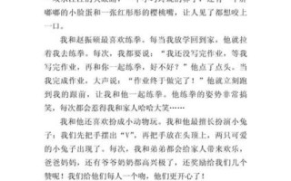 三年级作文怎么写_三年级作文300字范文