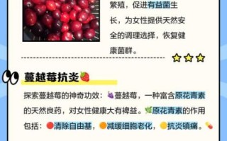 孕妇可以吃蔓越莓吗_蔓越莓对孕妇的好处与禁忌