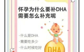 孕妇吃DHA的最佳时间_DHA对胎儿有什么好处