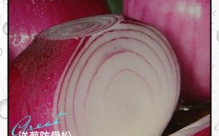 孕妇可以吃洋葱吗_孕期吃洋葱的好处与禁忌