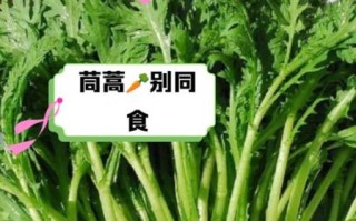 孕妇可以吃茼蒿吗_孕期吃茼蒿的注意事项