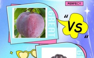 孕妇可以吃红布林吗_红布林对胎儿有影响吗