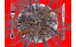 what_to_eat_when_pregnant_safe_foods_for_pregnant_women