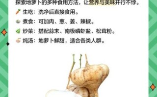 地萝卜孕妇可以吃吗_地萝卜孕期食用禁忌
