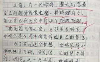 飞鸟乐园有什么好玩的_飞鸟乐园作文怎么写