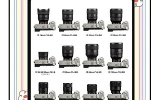 索尼镜头和莱卡镜头哪个好_怎么选