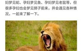 孕妇梦见狮子是什么意思_孕妇梦见狮子生男生女