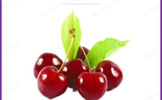 贫血孕妇吃什么补血最快_孕妇贫血吃什么补血效果好