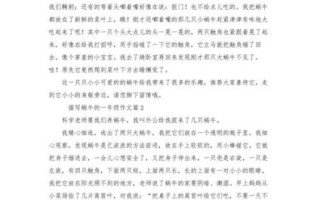 蜗牛精神作文怎么写_蜗牛精神有哪些启示