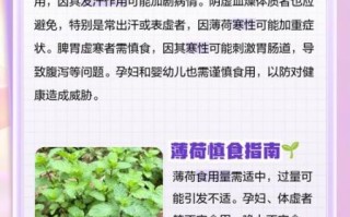 孕妇能吃薄荷吗_薄荷对孕妇的影响