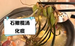 孕妇能吃石橄榄鸡汤吗_石橄榄鸡汤孕妇禁忌