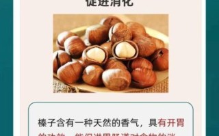 孕妇能吃榛子吗_榛子对胎儿有什么好处
