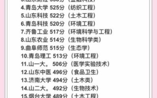 山东一本大学有哪些_山东一本大学录取分数线