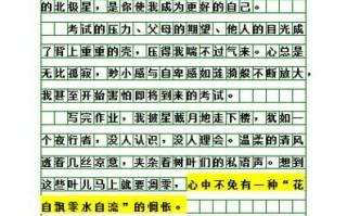 800字作文怎么写_如何快速构思800字作文