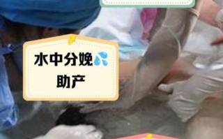 孕妇水中分娩安全吗_水中分娩的好处和坏处