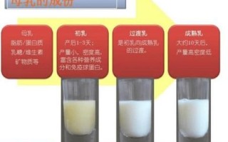 孕妇几个月有奶水_什么时候开始分泌初乳