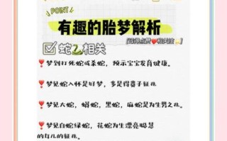 孕妇梦见饺子是男是女_胎梦解析准不准