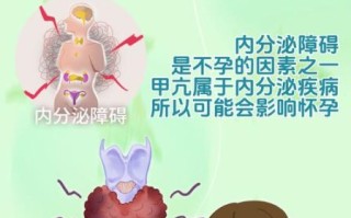 孕妇甲状腺高是什么原因_孕妇甲亢会影响胎儿吗