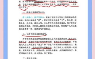 如何提高作文水平_小学生作文怎么写