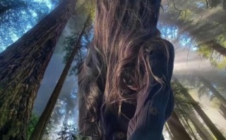 广角镜头适合拍什么_怎么选广角镜头